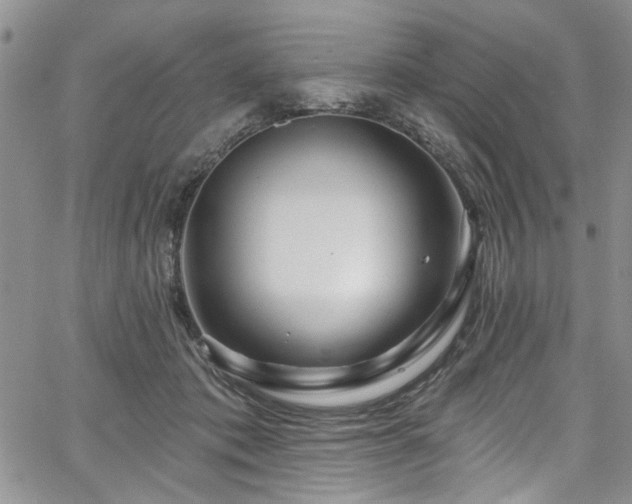 X0000067530413200604071351