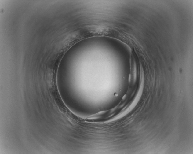 X0000067530416200604071351