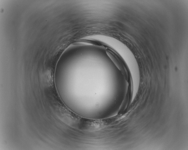 X0000067530420200604071351