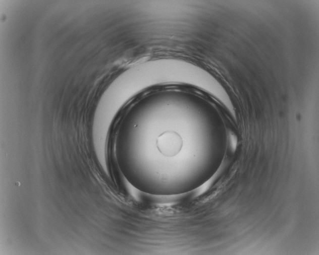 X0000067530423200604071351