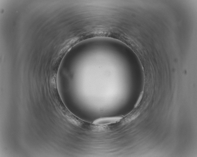 X0000067530432200604071351