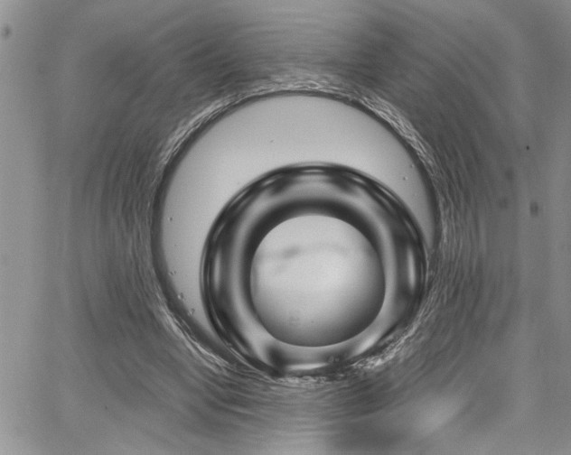X0000067530442200604071350