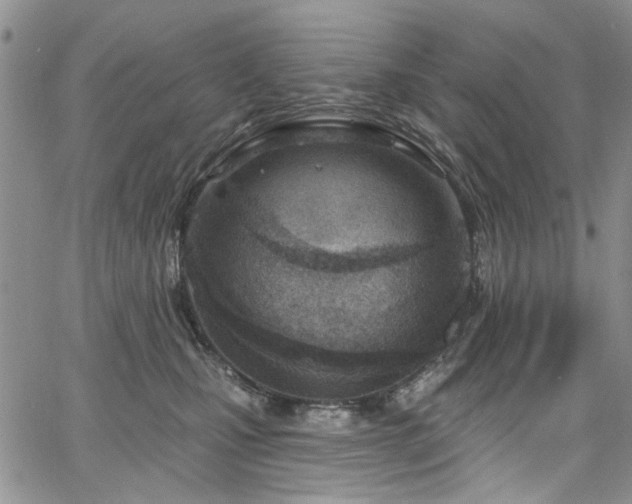 X0000067530471200604071351
