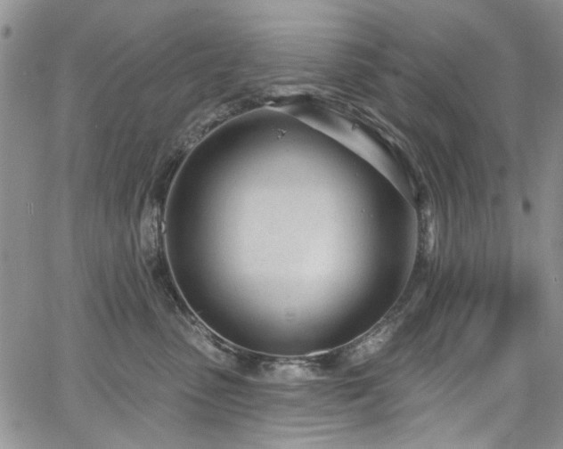 X0000067530475200604071351
