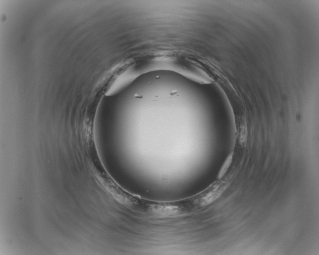 X0000067530476200604071351