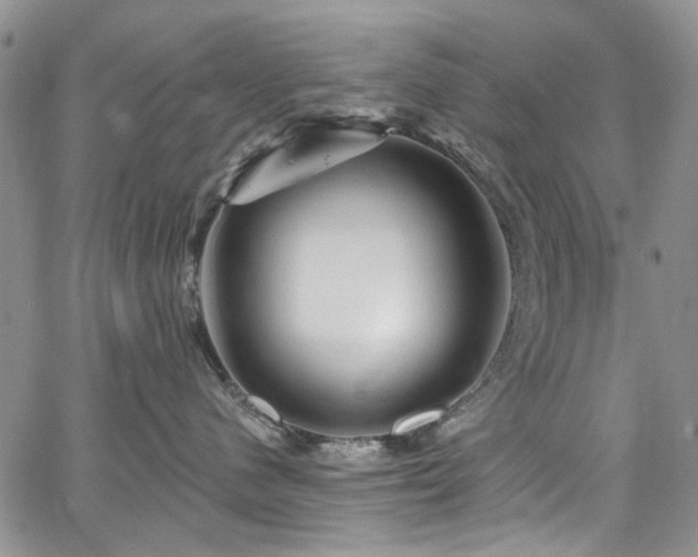 X0000067530480200604071351