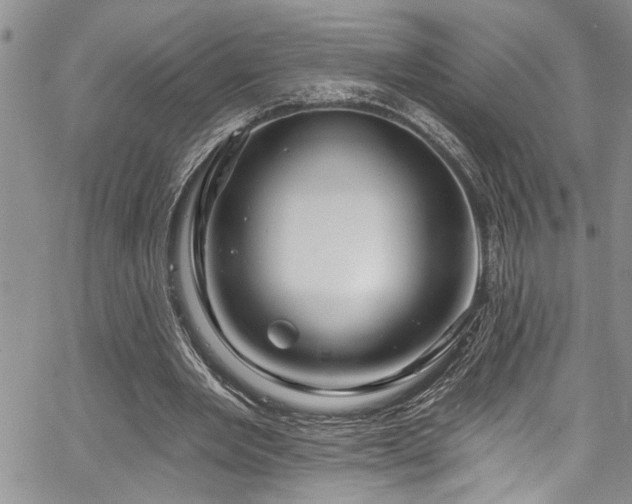 X0000067530485200604071350