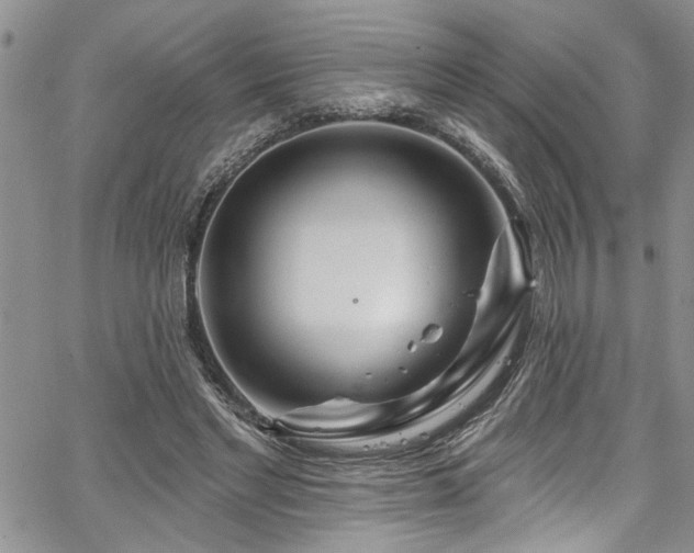 X0000067530493200604071350