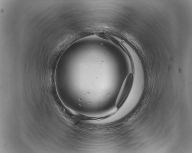 X0000067530501200604071350