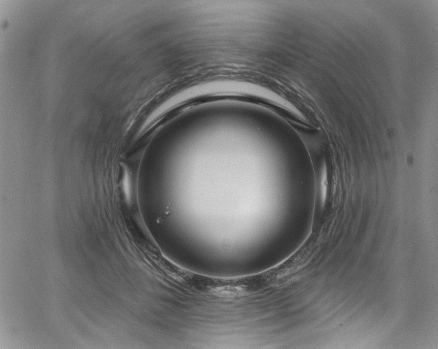 X0000067530508200604071350