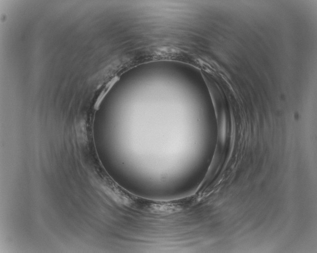 X0000067530520200604071349