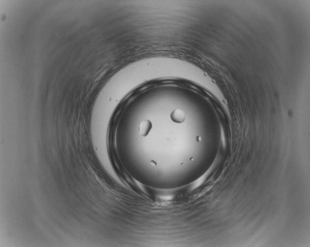 X0000067530560200604071349