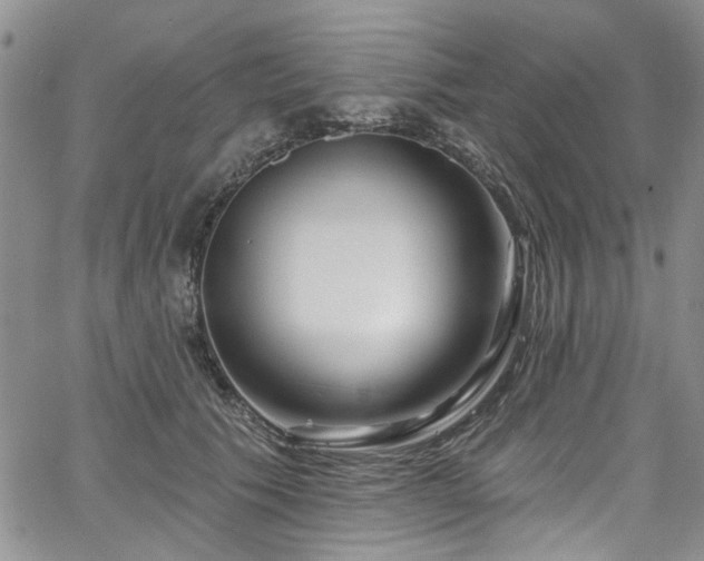 X0000067530609200604071348