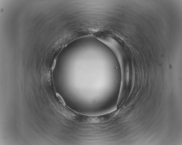X0000067530613200604071348