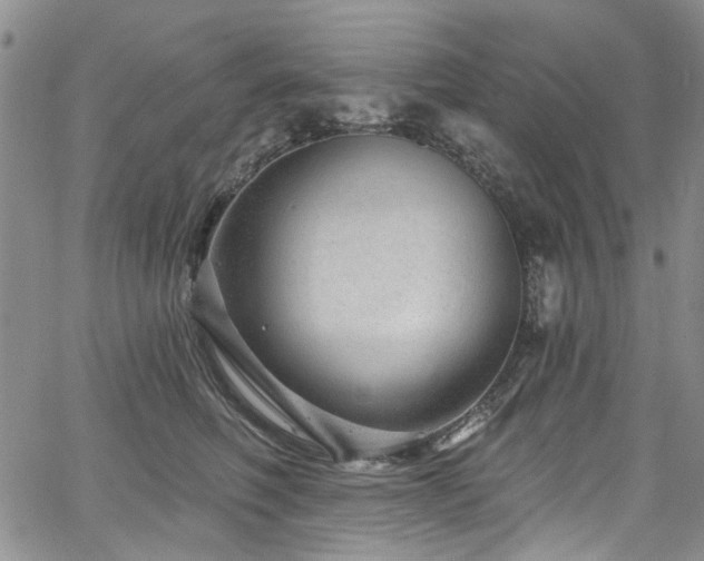 X0000067530614200604071348