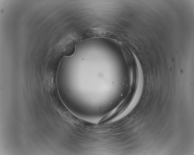 X0000067530615200604071348