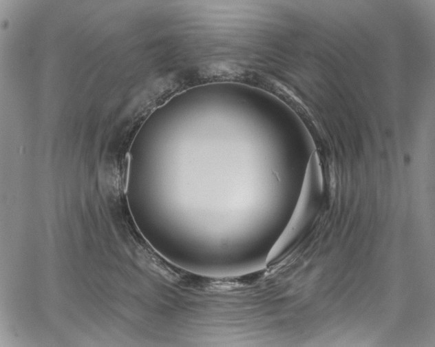 X0000067530617200604071348