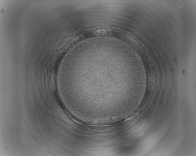 X0000067530654200604071347
