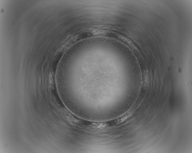 X0000067530667200604071348