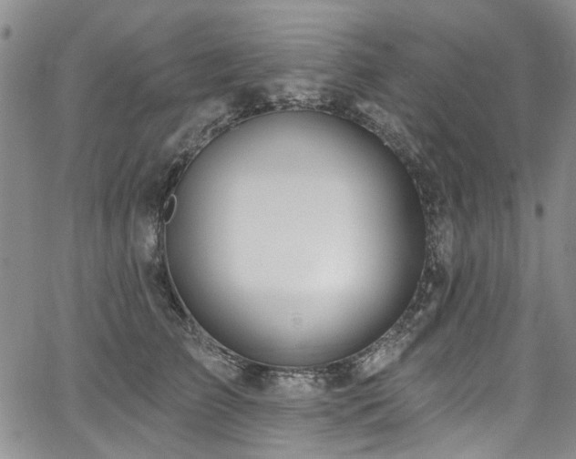 X0000067530709200604071346