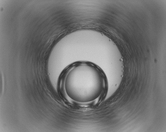 X0000067530748200604071346