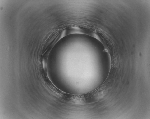 X0000067530756200604071346
