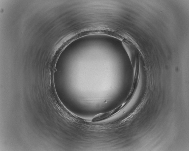 X0000067530781200604071345
