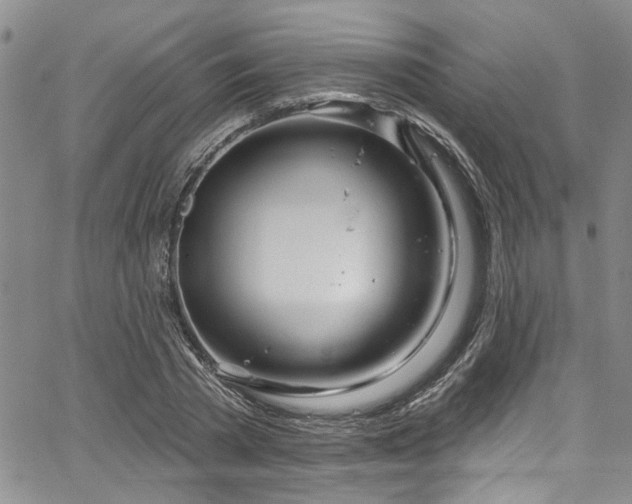 X0000067530785200604071345