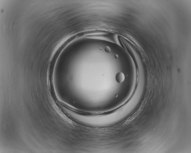 X0000067530788200604071345