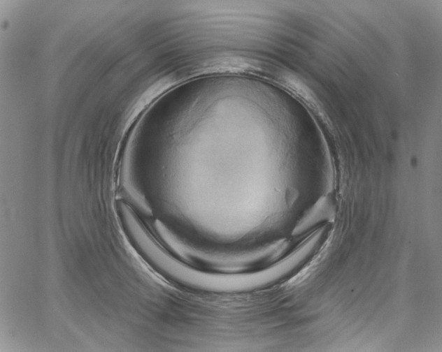 X0000067530802200604071345
