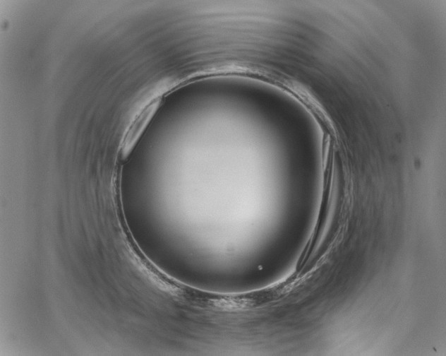 X0000067530805200604071345