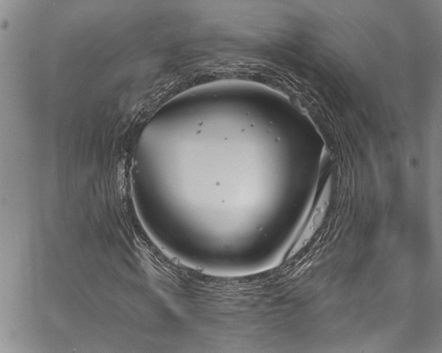 X0000067530820200604071344
