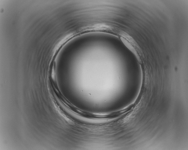 X0000067530850200604071344