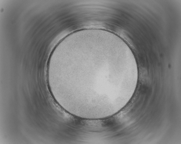 X0000067530856200604071344