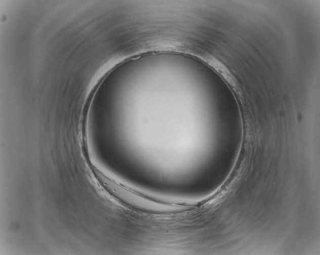 X0000067530904200604071343