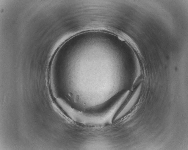 X0000067530958200604071343