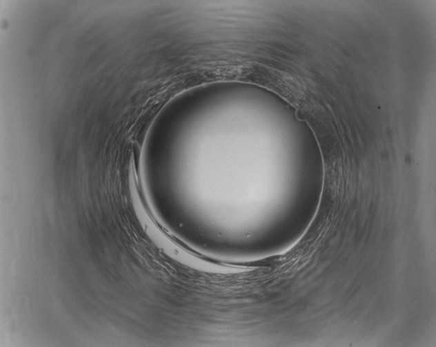 X0000067530962200604071342