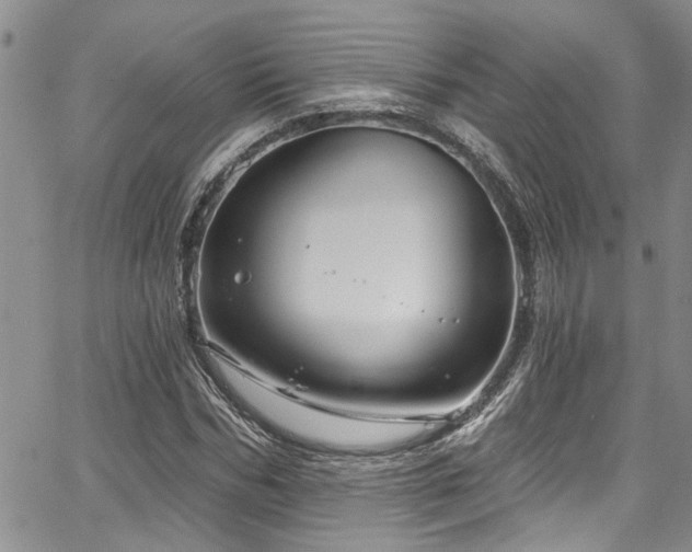 X0000067530970200604071342