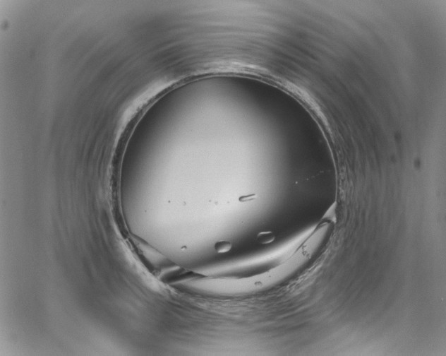 X0000067530995200604071342