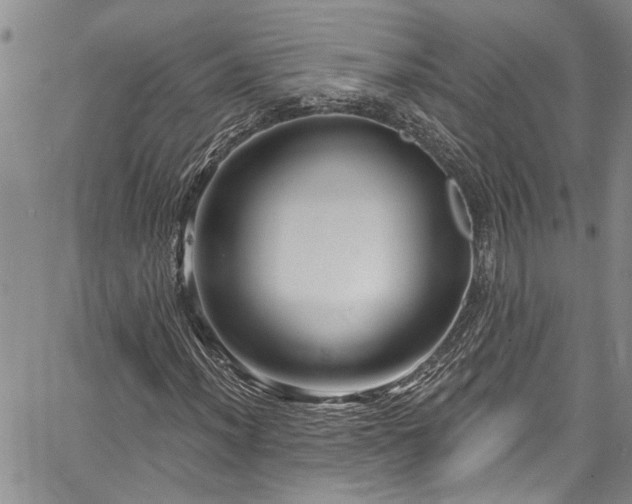 X0000067531012200604071341