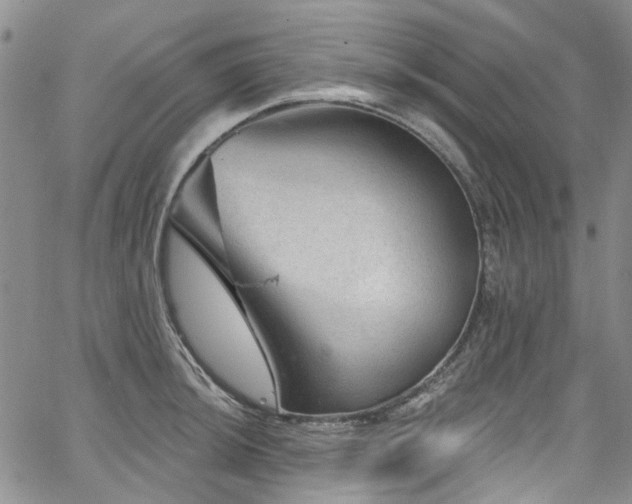 X0000067531044200604071341