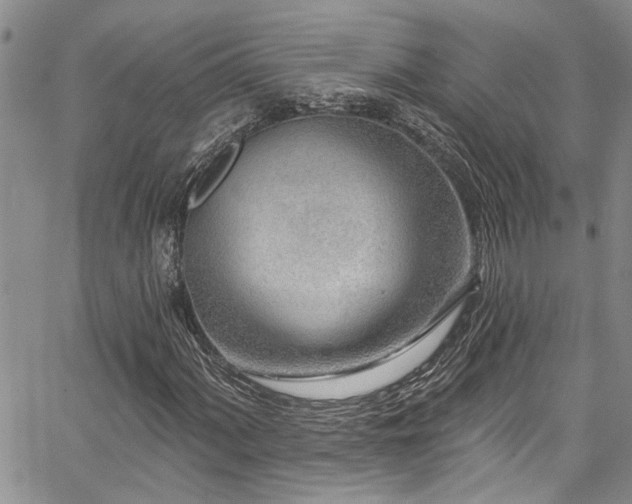 X0000067531060200604071341