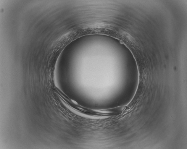 X0000067531062200604071341