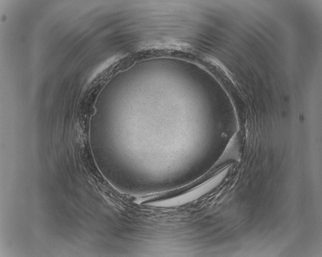 X0000067531064200604071341