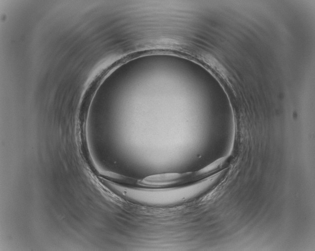 X0000067531072200604071340