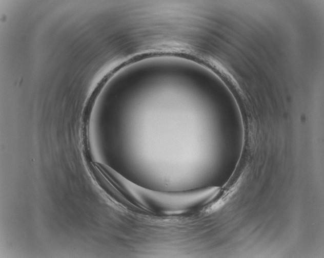 X0000067531085200604071340