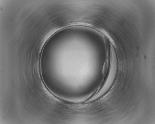 X0000067531100200604071340