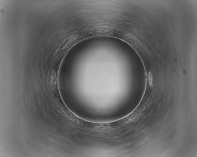 X0000067531107200604071339