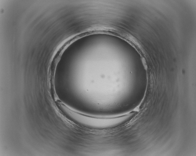 X0000067531124200604071339