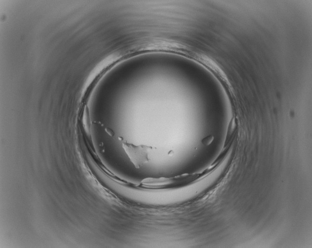 X0000067531138200604071340